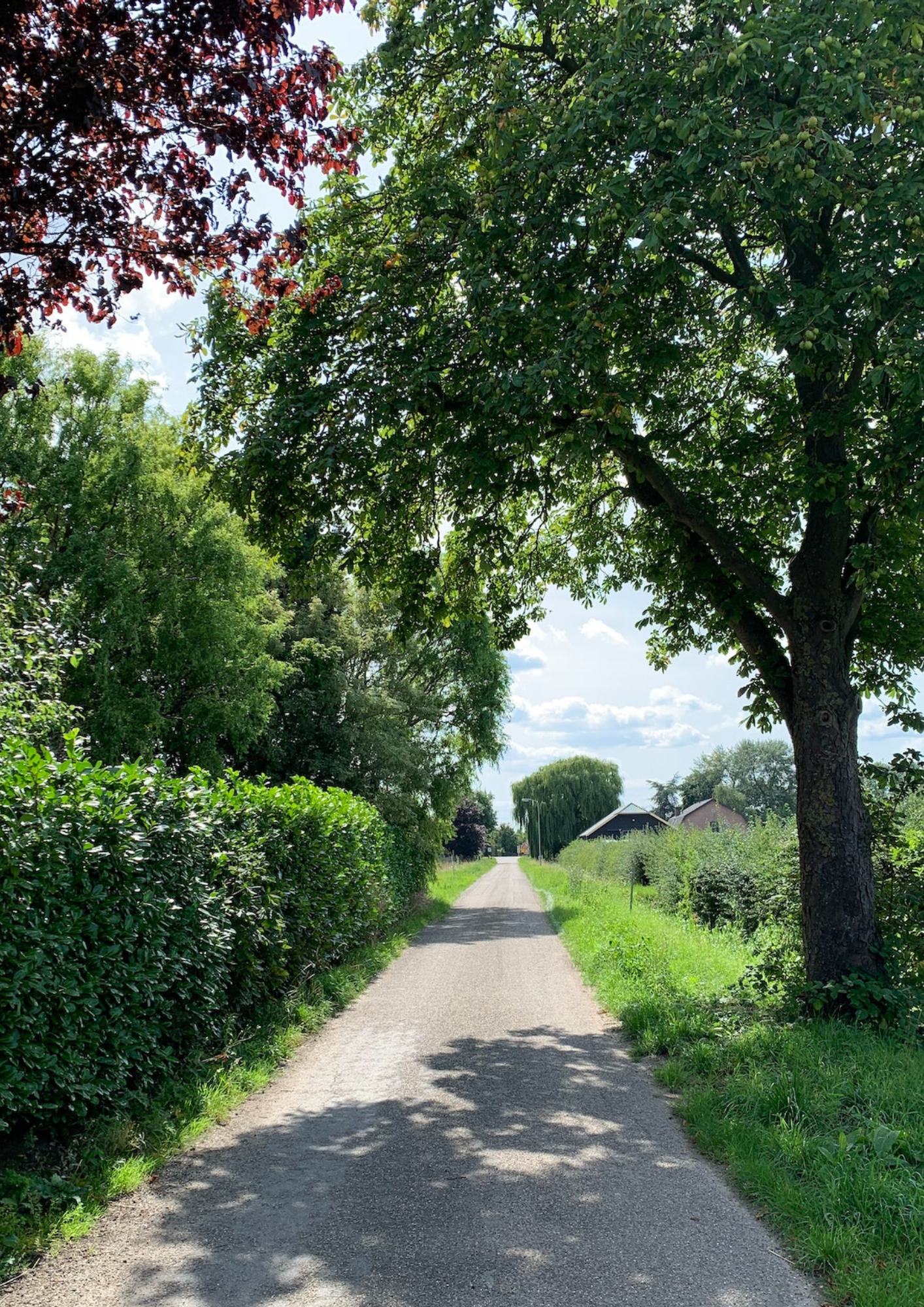 Entretien régulier