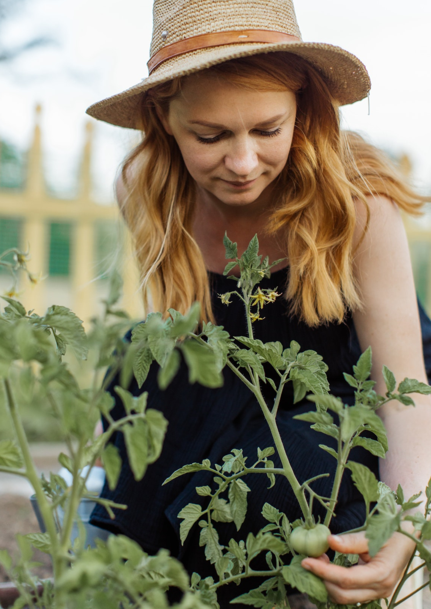 Jardins comestibles