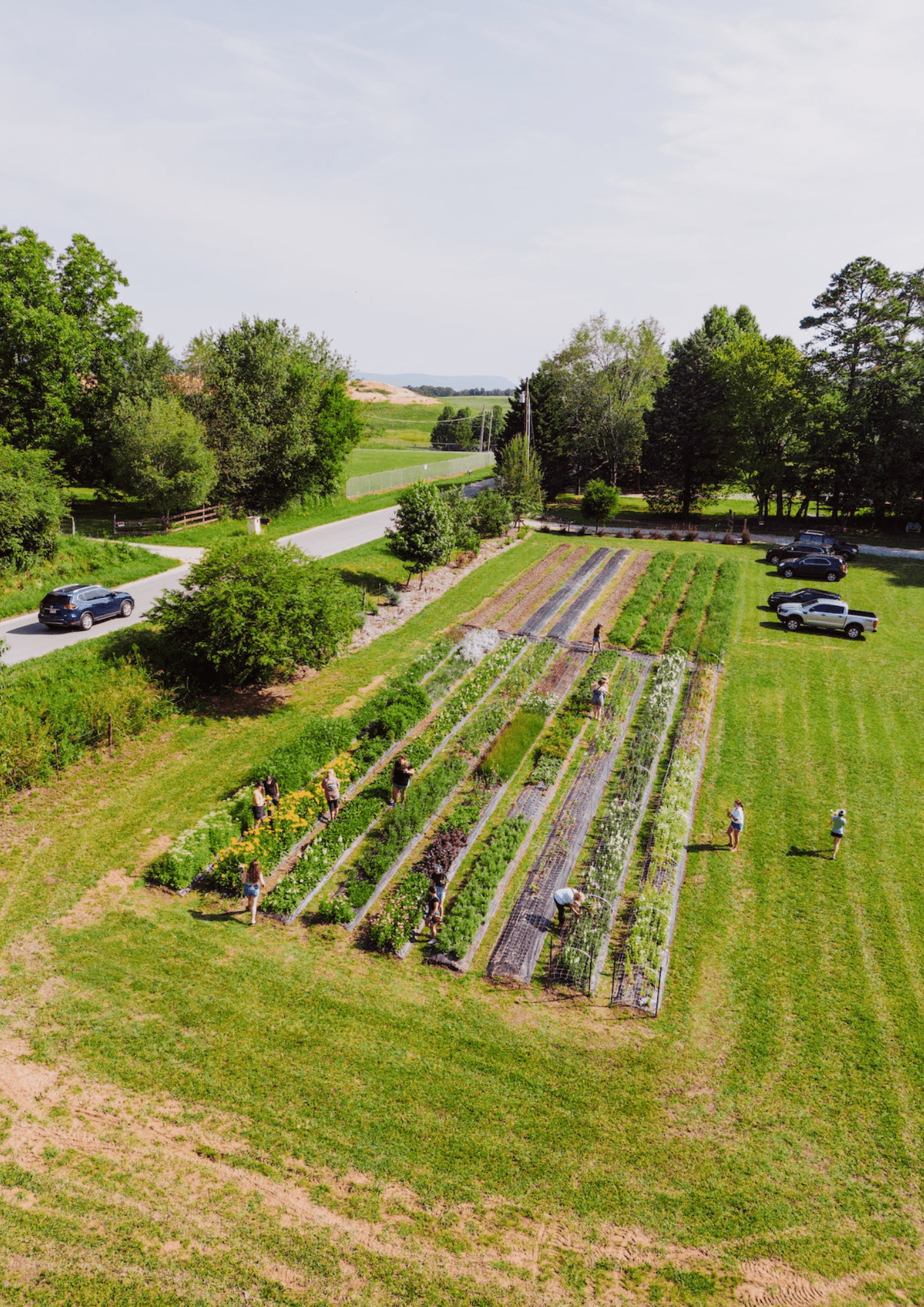 Création de potager