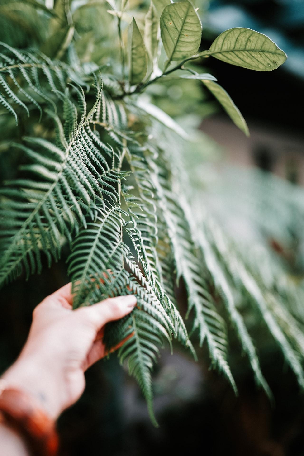 Entreprise Entretien Espaces Verts : vos professionnels du jardin